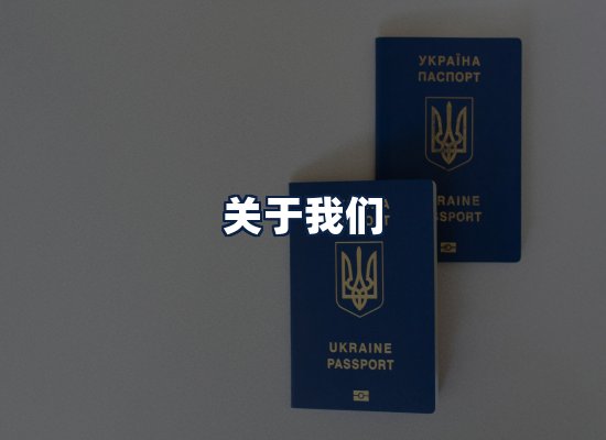 关于我们